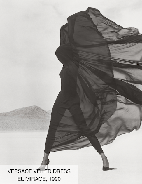 Versace Veiled Dress,El Mirage, 1990